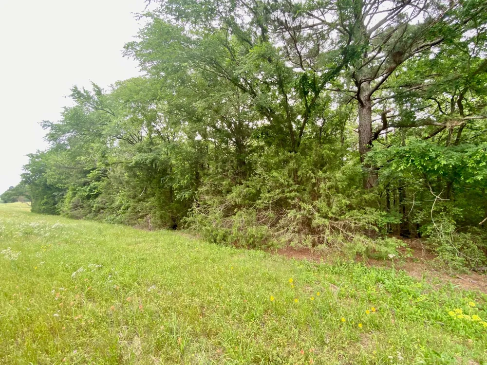S State Highway 19 Elkhart, TX 75839
