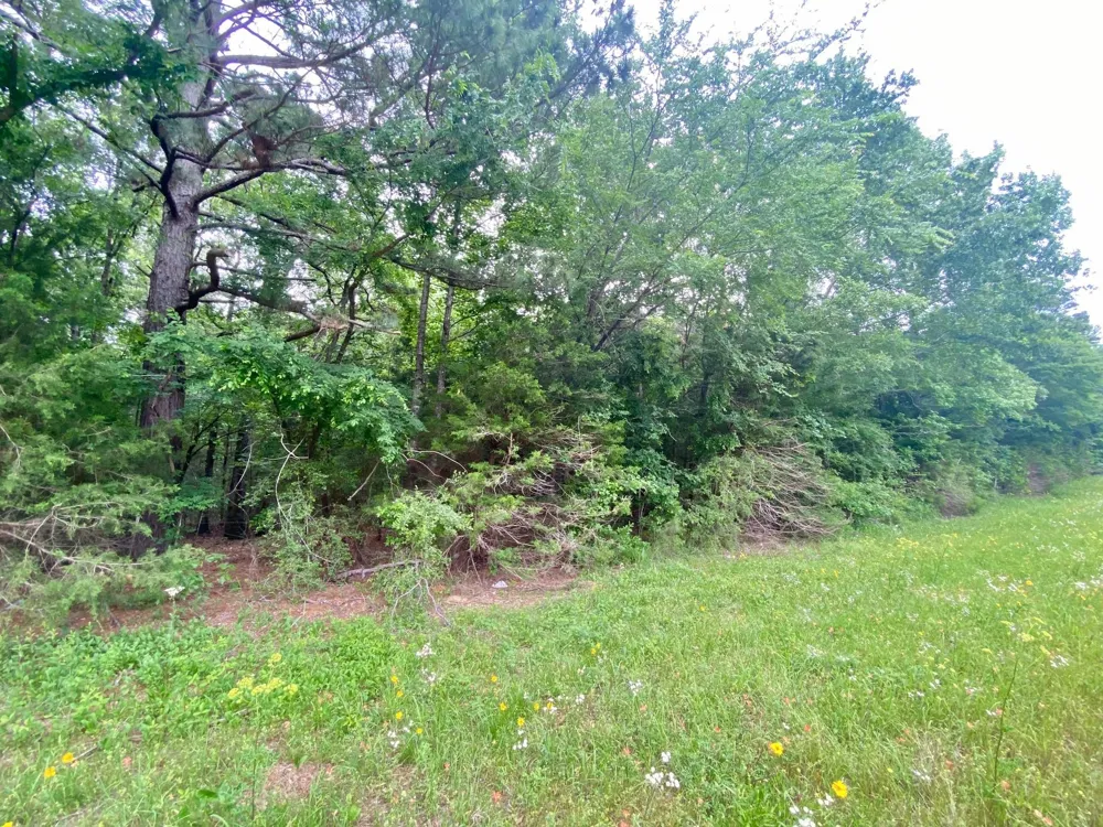 S State Highway 19 Elkhart, TX 75839