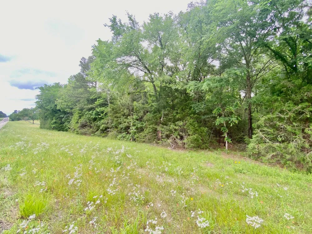 S State Highway 19 Elkhart, TX 75839