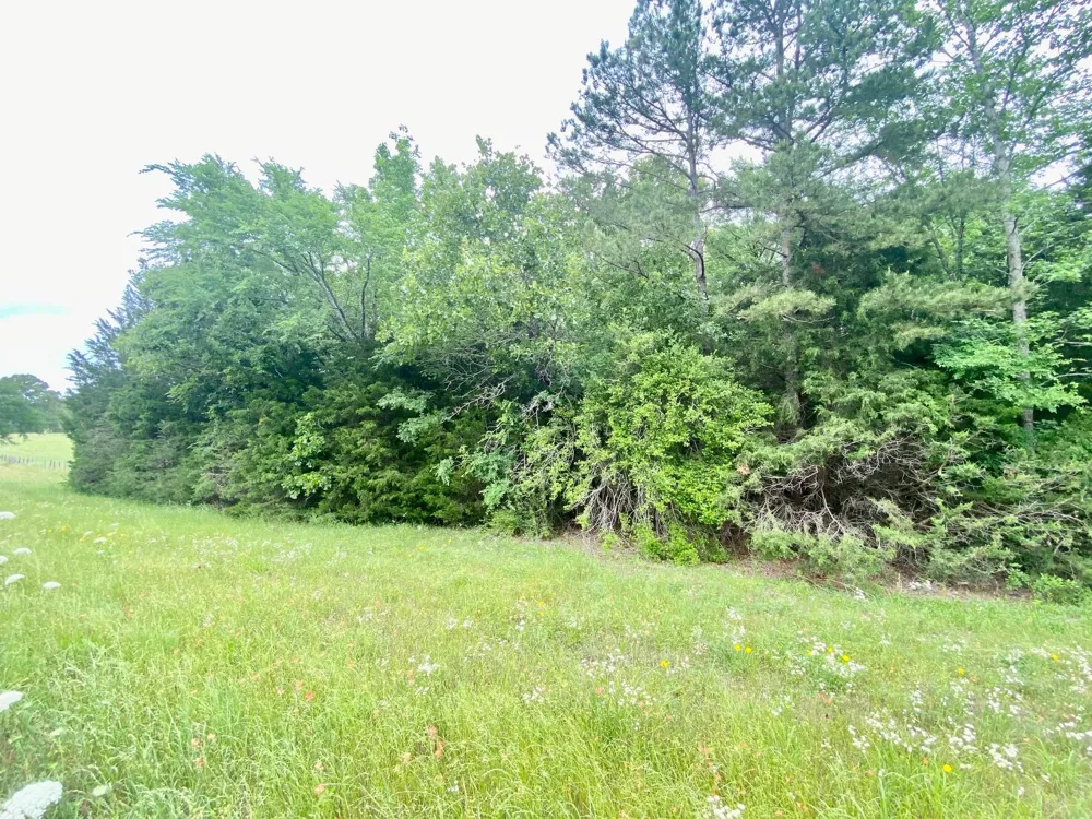 S State Highway 19 Elkhart, TX 75839
