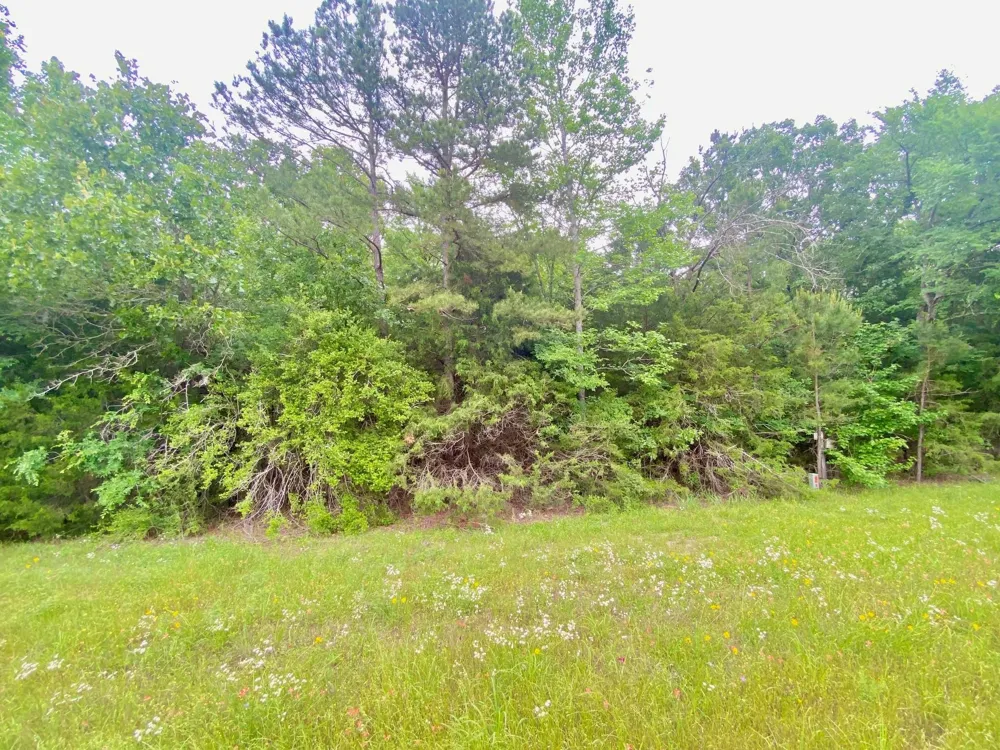 S State Highway 19 Elkhart, TX 75839