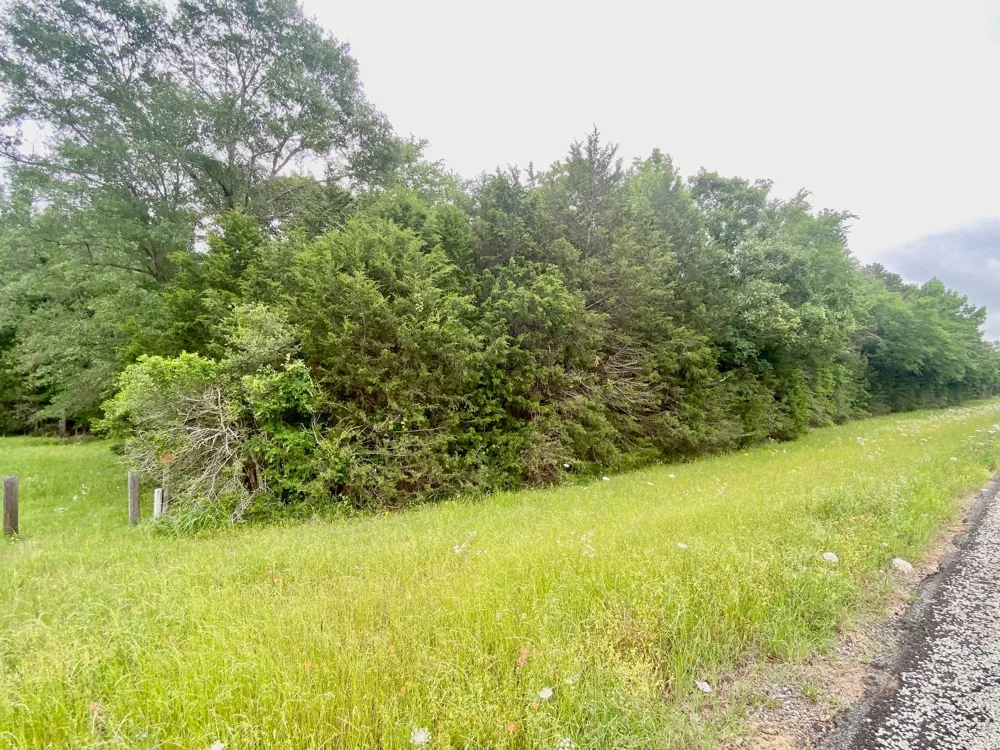 S State Highway 19 Elkhart, TX 75839