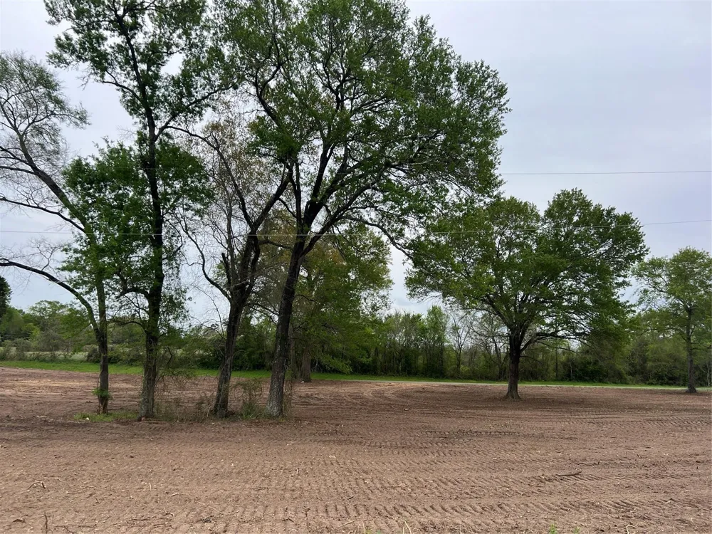 3 Tx-105 Washington, TX 77880