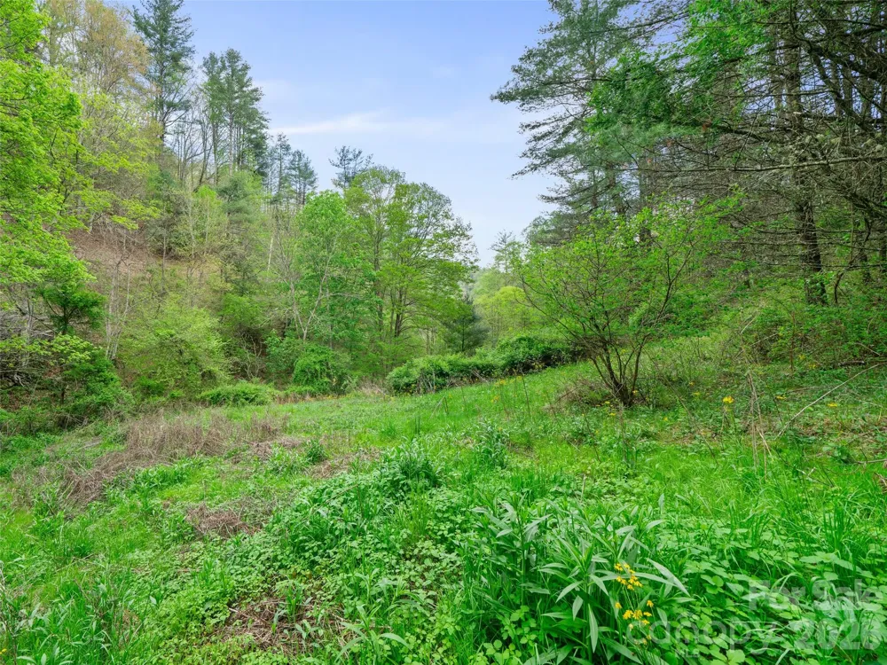 0 Fire Scald Road Green Mountain, NC 28740