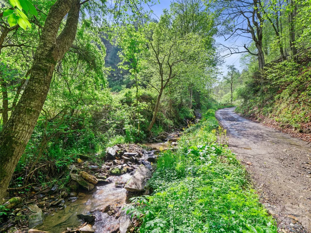 0 Fire Scald Road Green Mountain, NC 28740