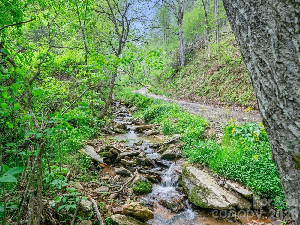 0 Fire Scald Road Green Mountain, NC 28740