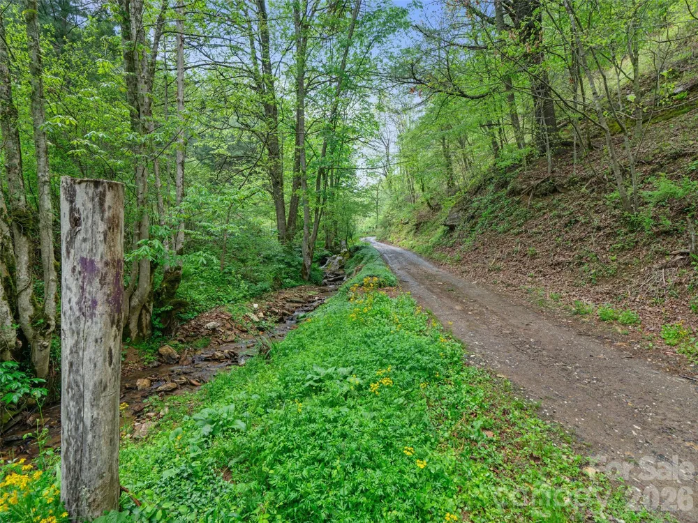 0 Fire Scald Road Green Mountain, NC 28740