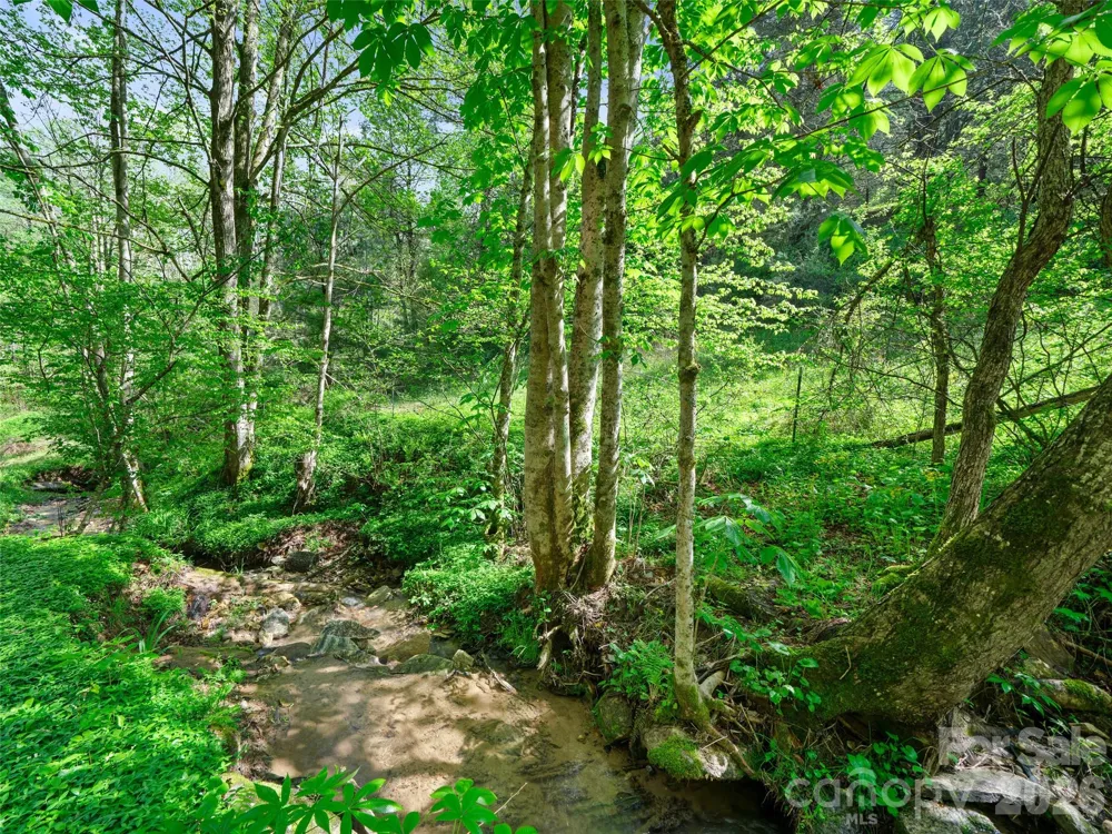 0 Fire Scald Road Green Mountain, NC 28740