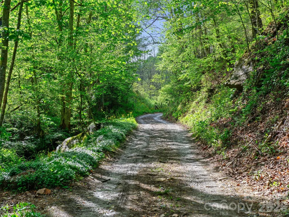 0 Fire Scald Road Green Mountain, NC 28740