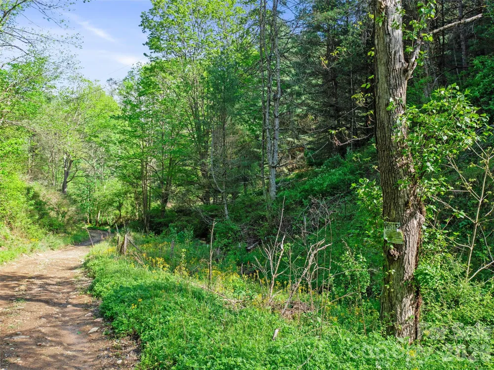 0 Fire Scald Road Green Mountain, NC 28740