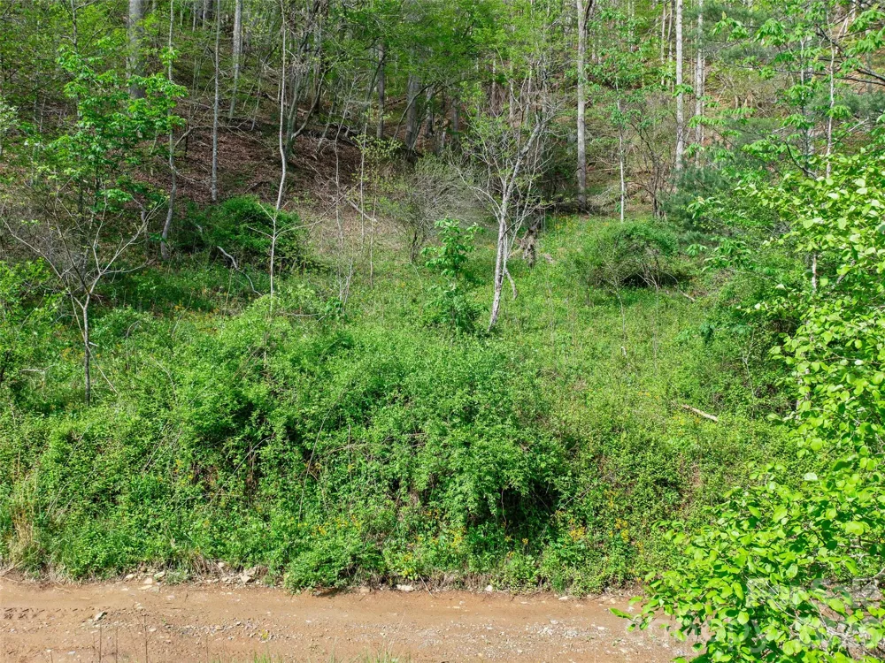 0 Fire Scald Road Green Mountain, NC 28740
