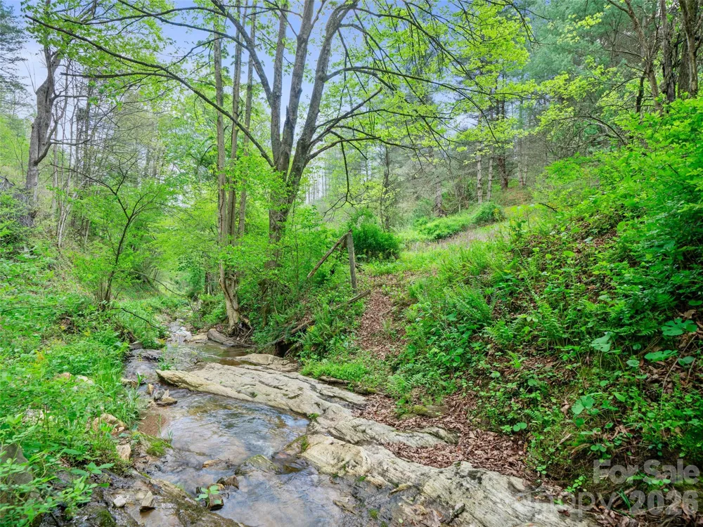 0 Fire Scald Road Green Mountain, NC 28740