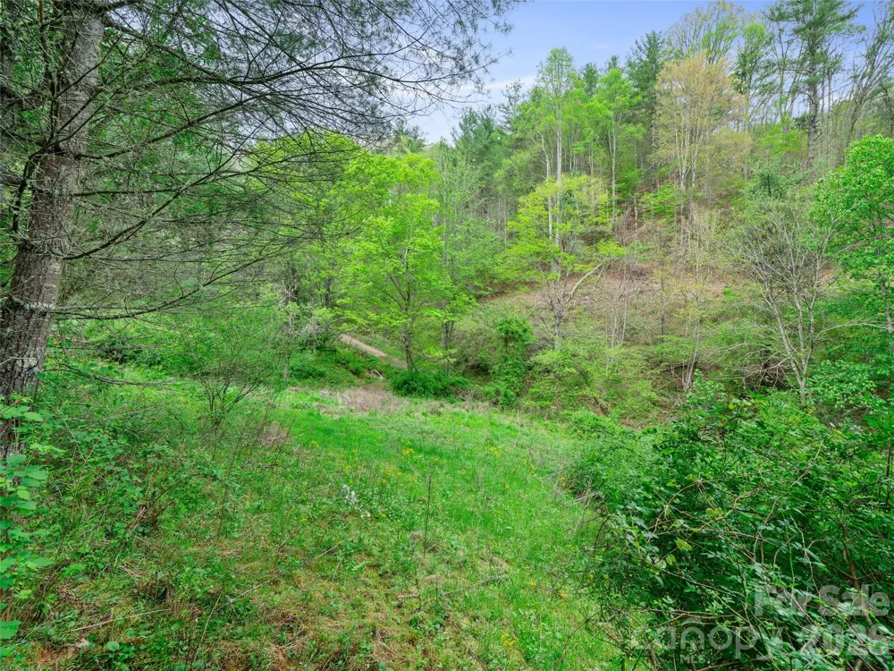 0 Fire Scald Road Green Mountain, NC 28740
