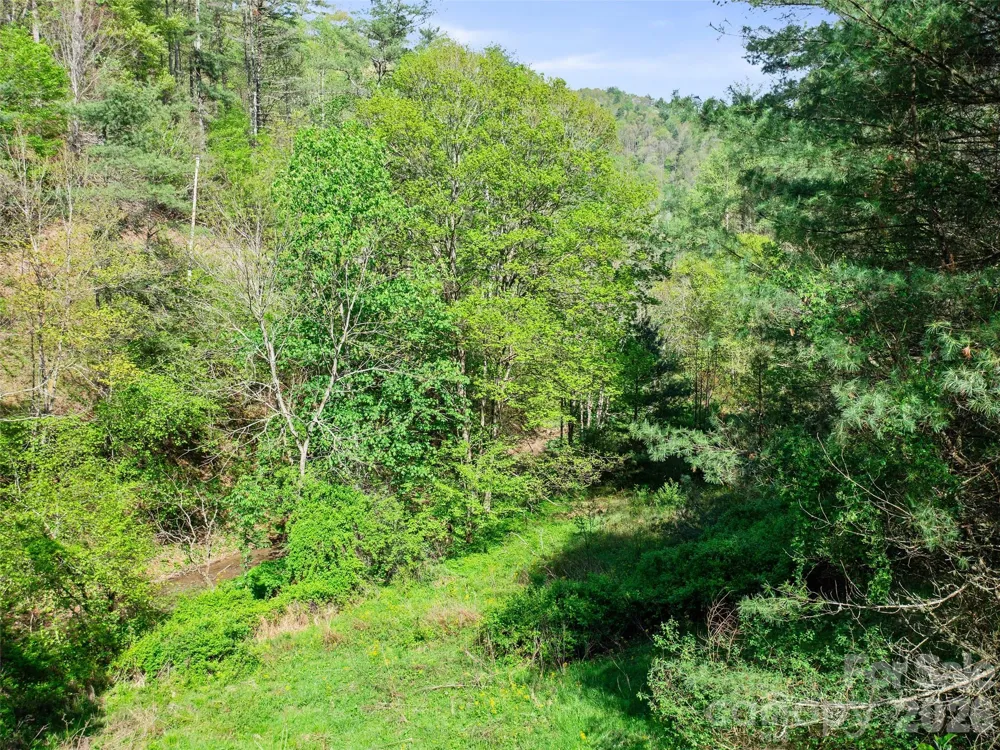0 Fire Scald Road Green Mountain, NC 28740