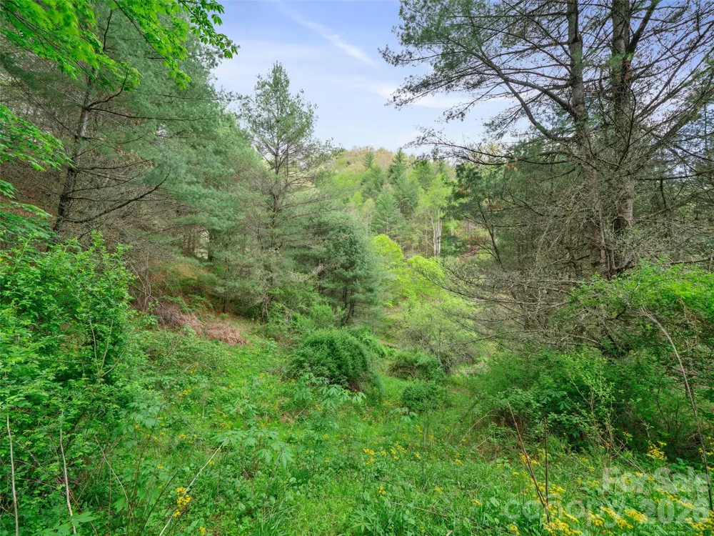 0 Fire Scald Road Green Mountain, NC 28740