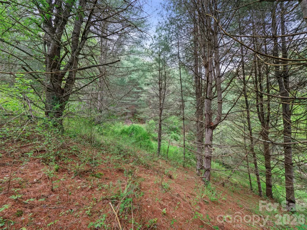 0 Fire Scald Road Green Mountain, NC 28740