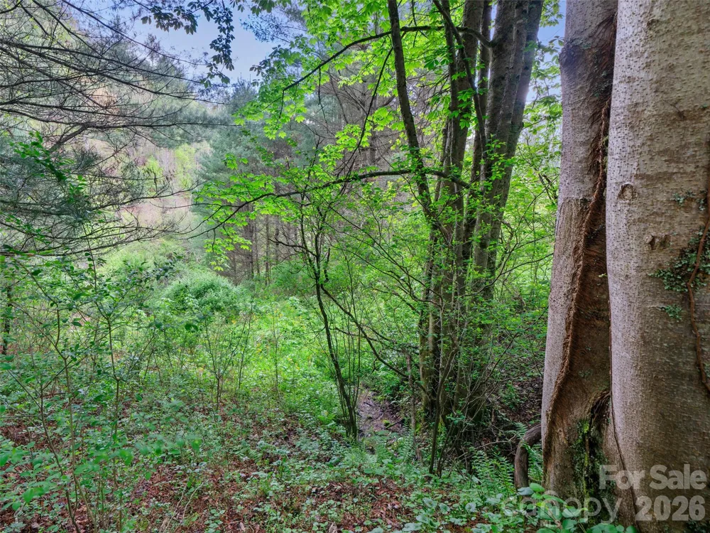 0 Fire Scald Road Green Mountain, NC 28740