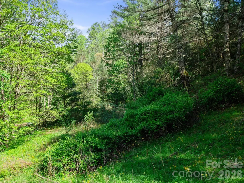 0 Fire Scald Road Green Mountain, NC 28740