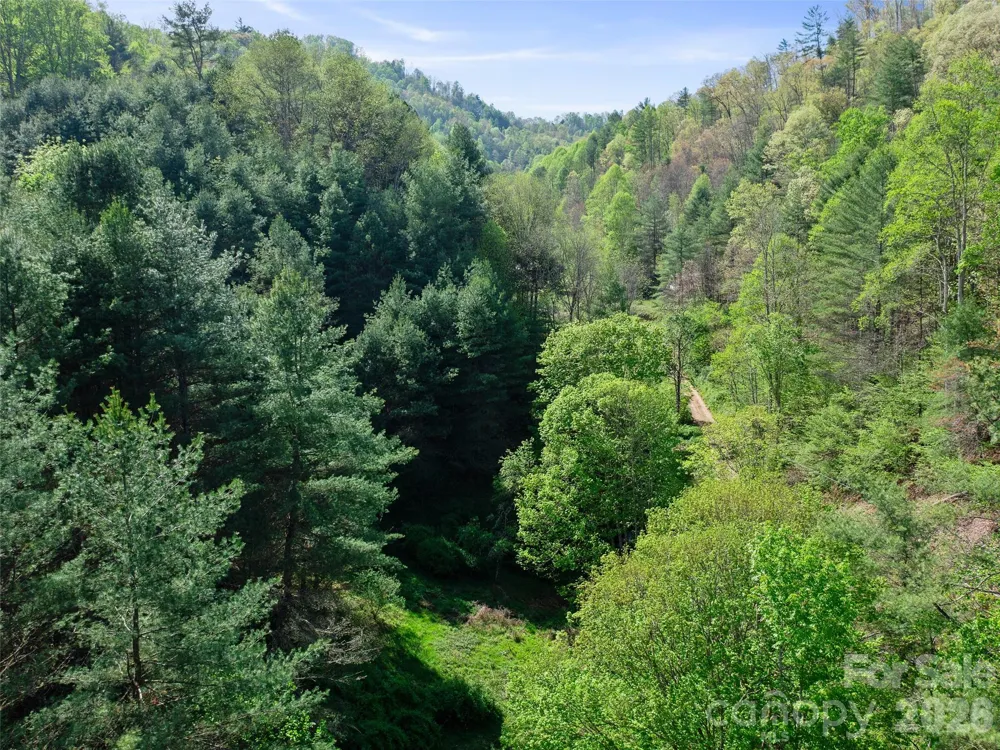0 Fire Scald Road Green Mountain, NC 28740