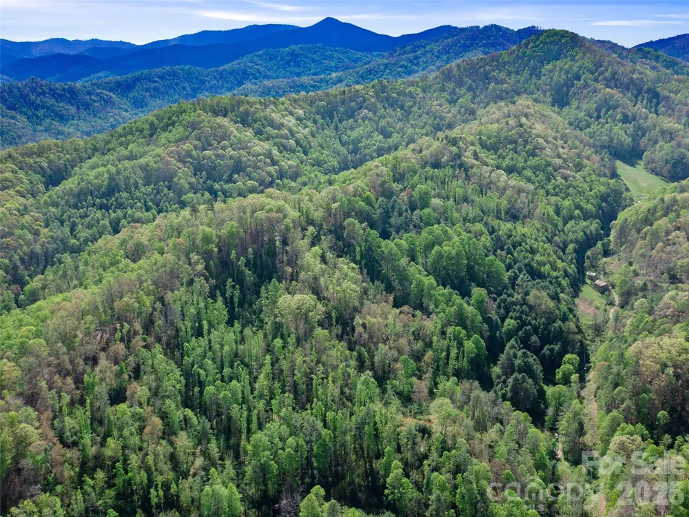 0 Fire Scald Road Green Mountain, NC 28740