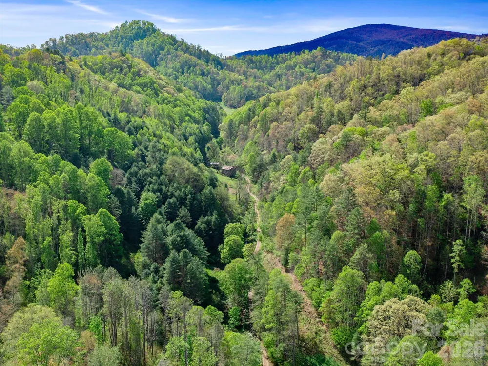 0 Fire Scald Road Green Mountain, NC 28740