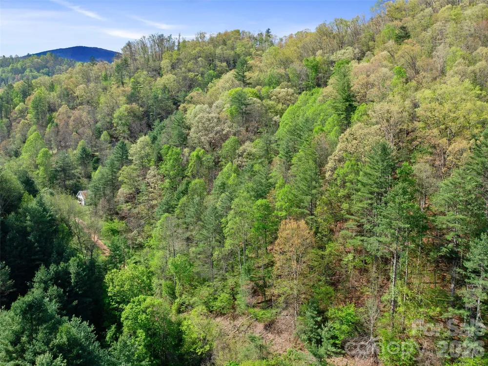 0 Fire Scald Road Green Mountain, NC 28740