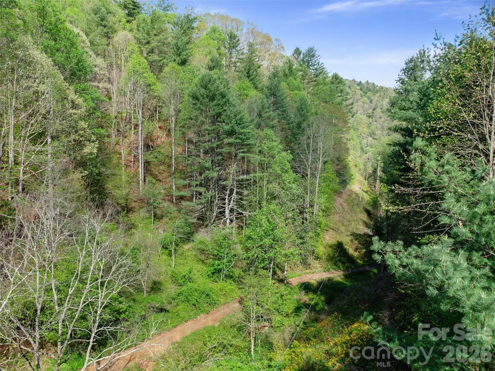 0 Fire Scald Road Green Mountain, NC 28740