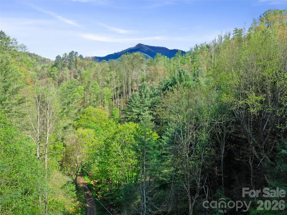 0 Fire Scald Road Green Mountain, NC 28740