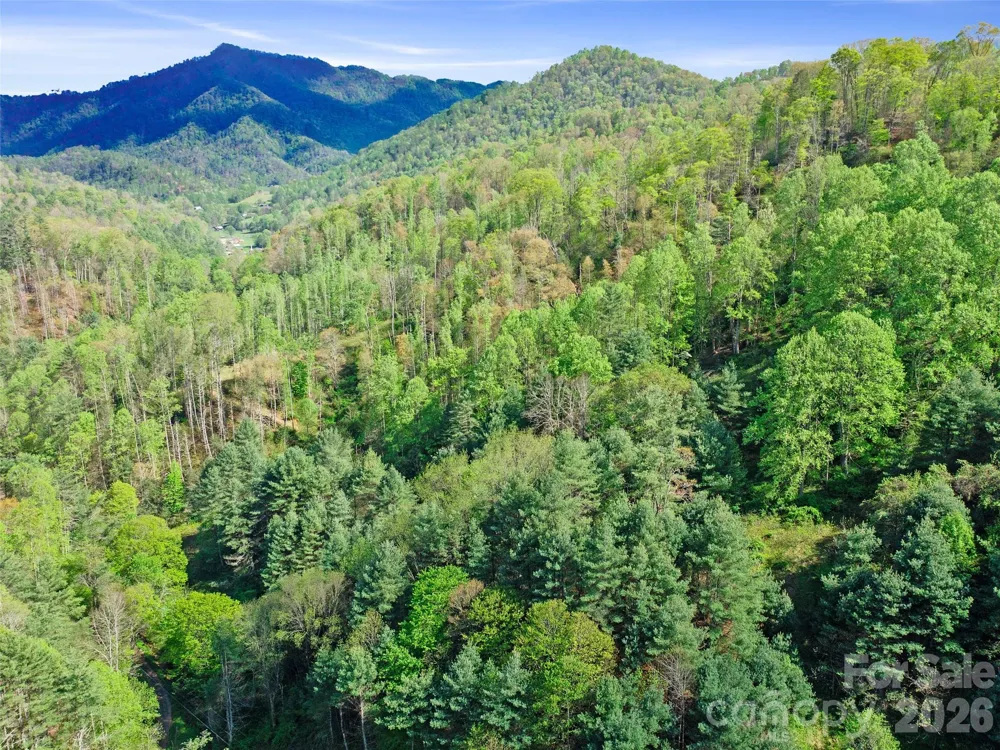0 Fire Scald Road Green Mountain, NC 28740