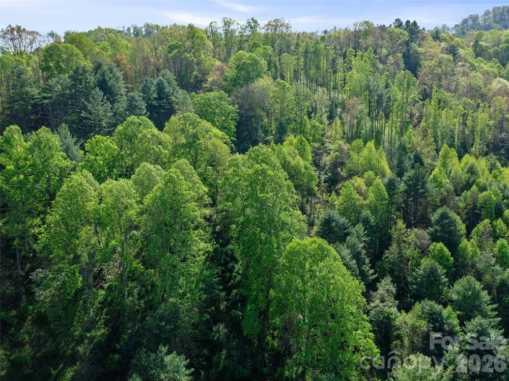 0 Fire Scald Road Green Mountain, NC 28740