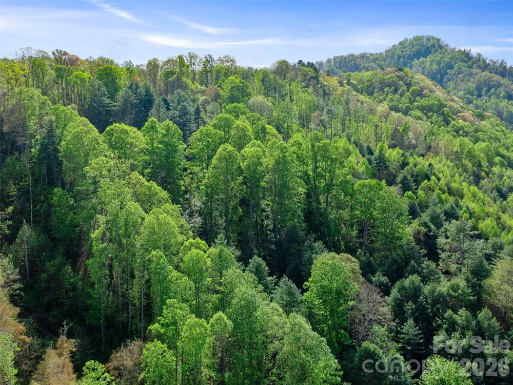 0 Fire Scald Road Green Mountain, NC 28740