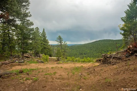 13864 Trail Circle