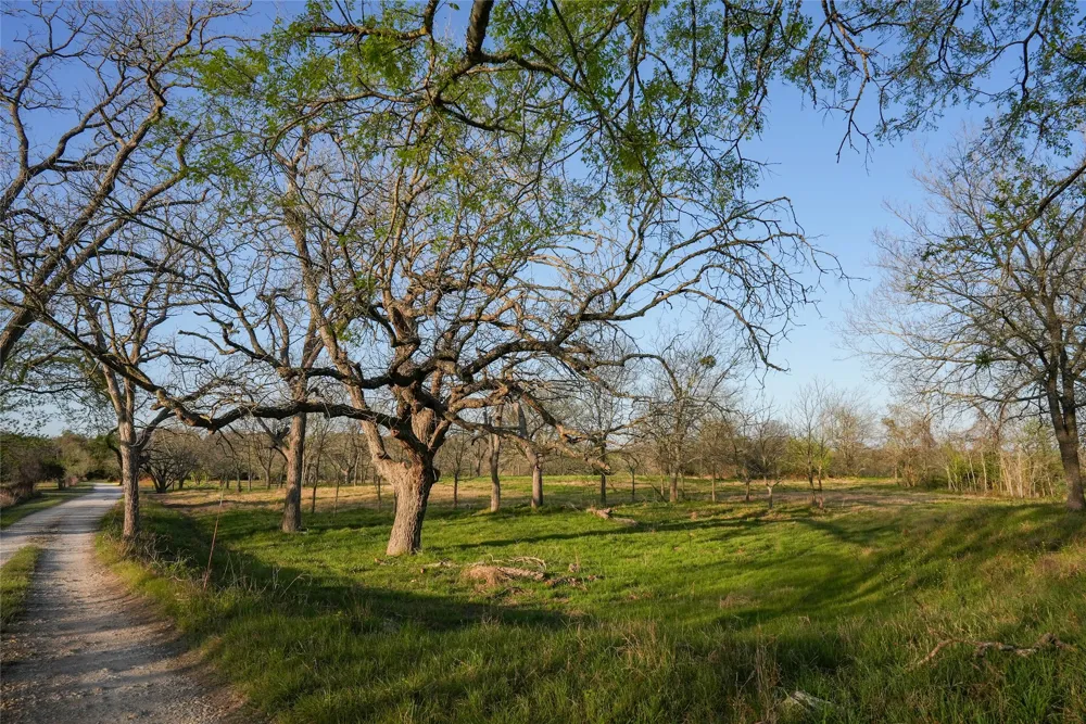 Lost Acres Loop Blanco, TX 78606