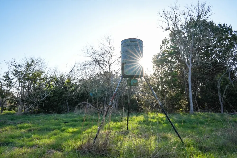 Lost Acres Loop Blanco, TX 78606