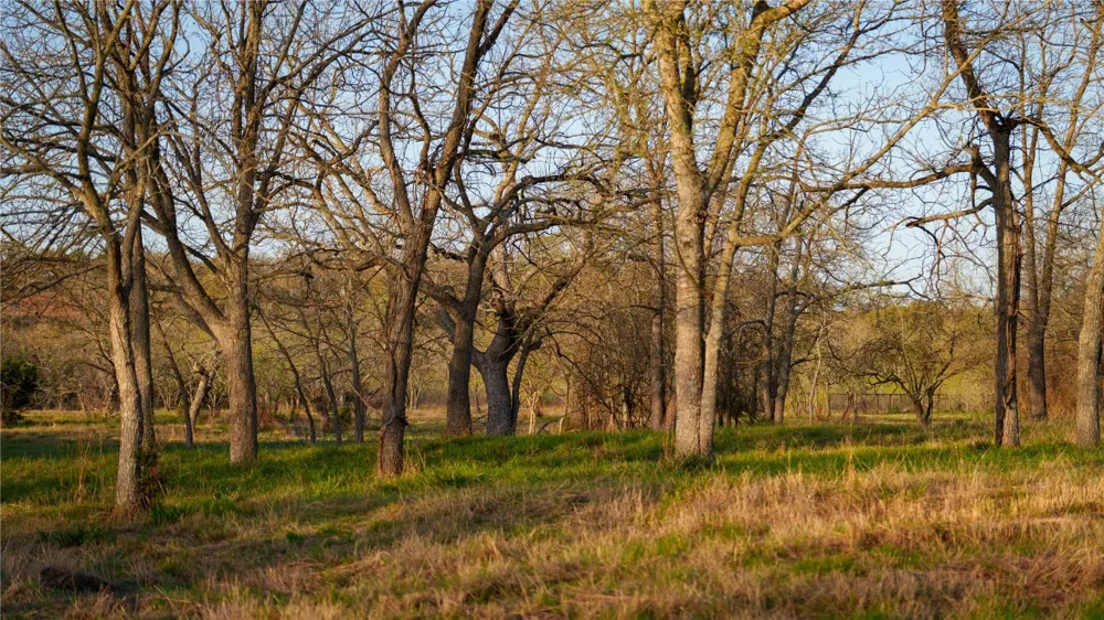 Lost Acres Loop Blanco, TX 78606
