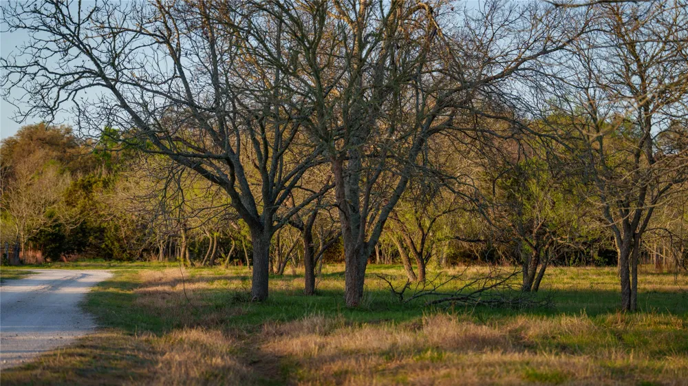 Lost Acres Loop Blanco, TX 78606