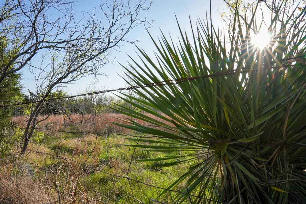 Lost Acres Loop Blanco, TX 78606