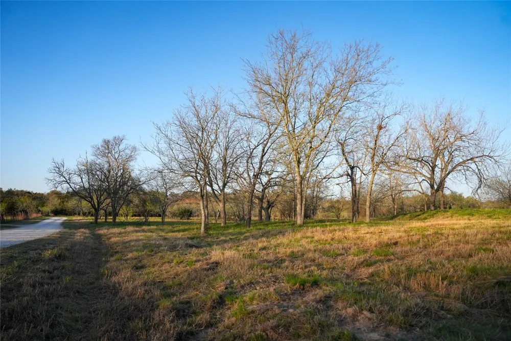 Lost Acres Loop Blanco, TX 78606