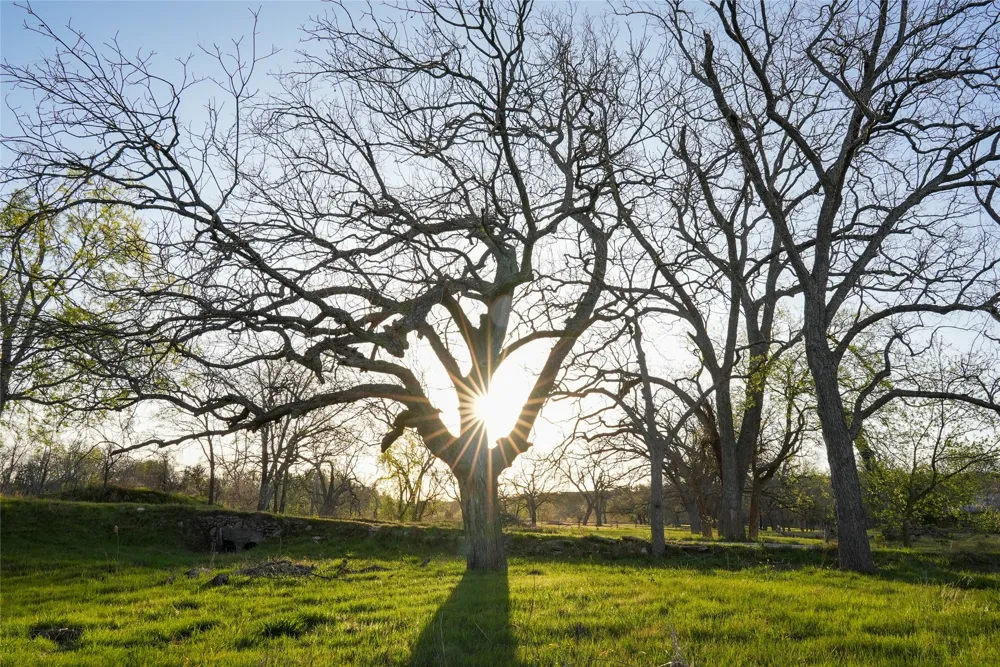 Lost Acres Loop Blanco, TX 78606