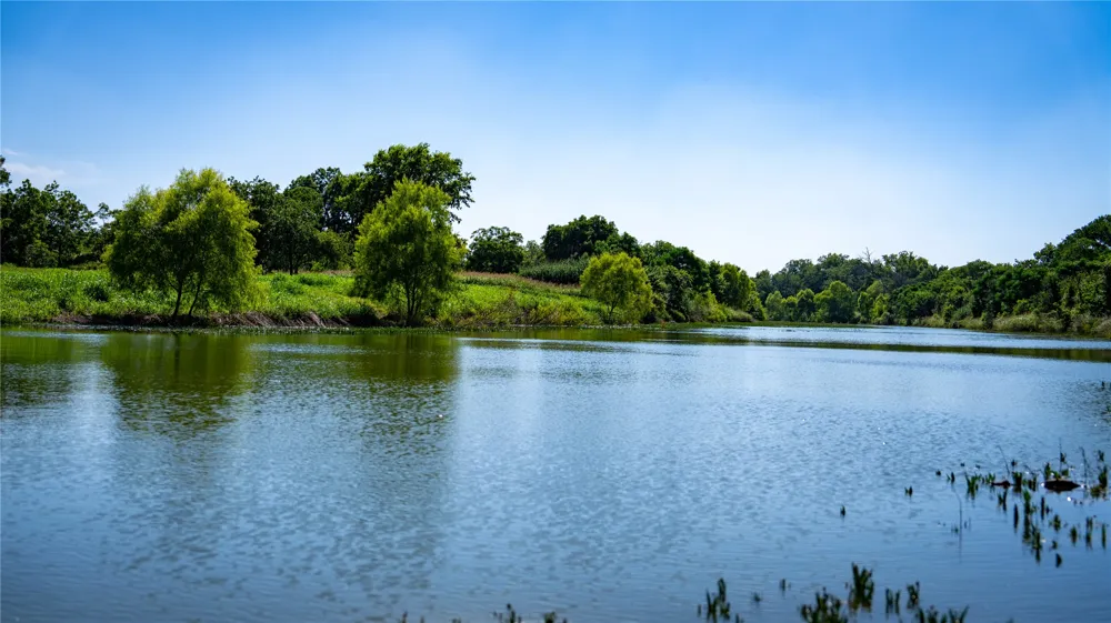 Lost Acres Loop Blanco, TX 78606