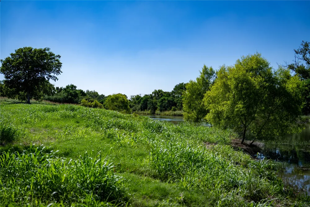 Lost Acres Loop Blanco, TX 78606
