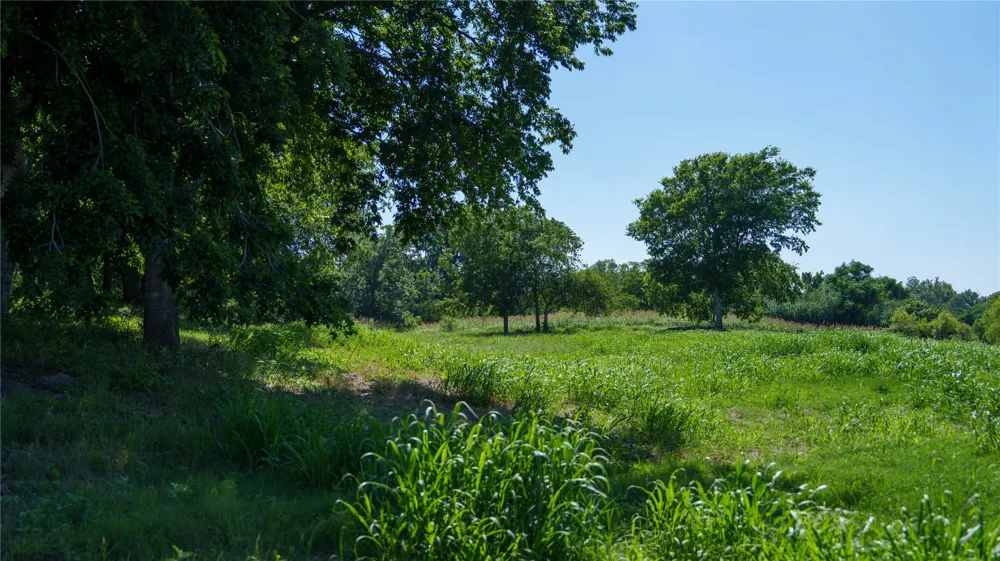 Lost Acres Loop Blanco, TX 78606