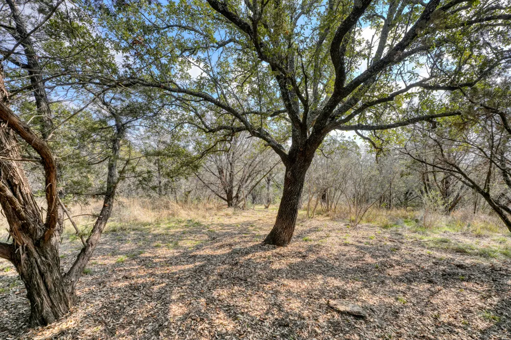 103 Palmie Lane Marble Falls, TX 78654