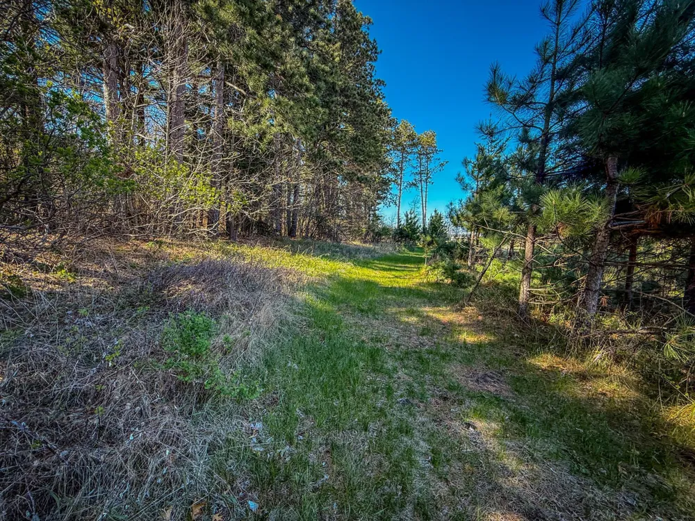 xxx County 14 Boulevard Cannon Falls, MN 55009