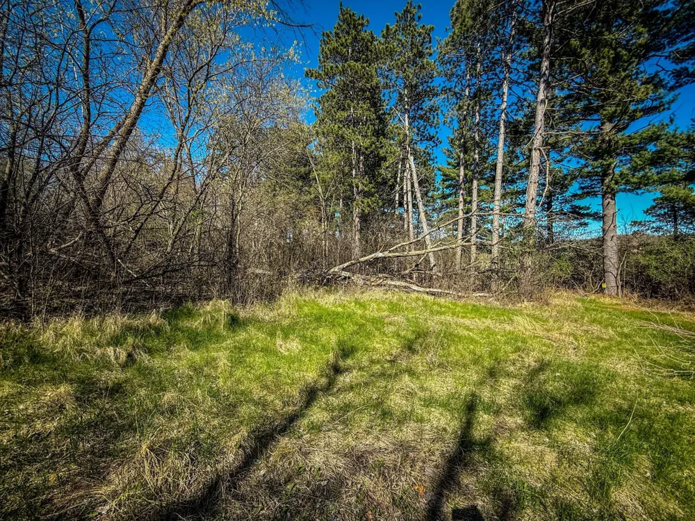 xxx County 14 Boulevard Cannon Falls, MN 55009