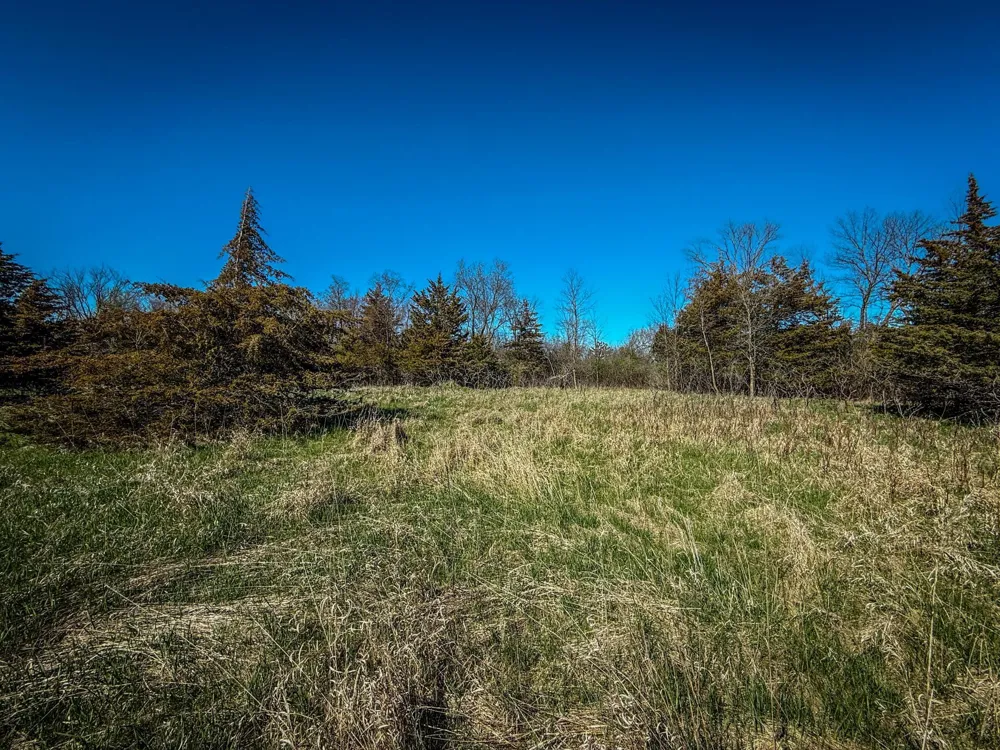 xxx County 14 Boulevard Cannon Falls, MN 55009