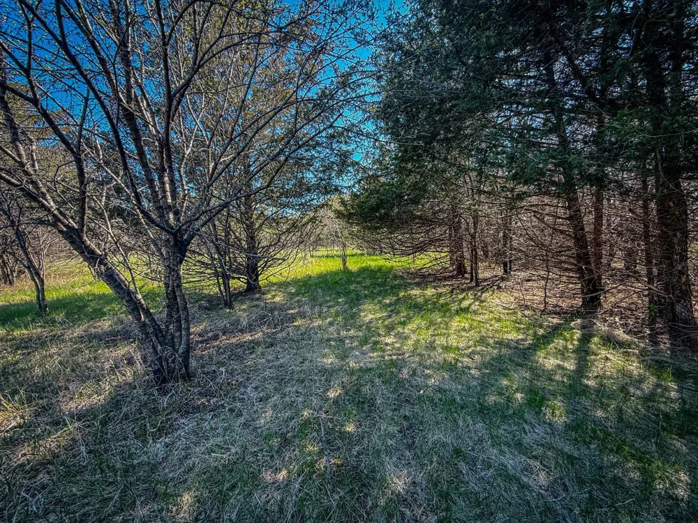 xxx County 14 Boulevard Cannon Falls, MN 55009