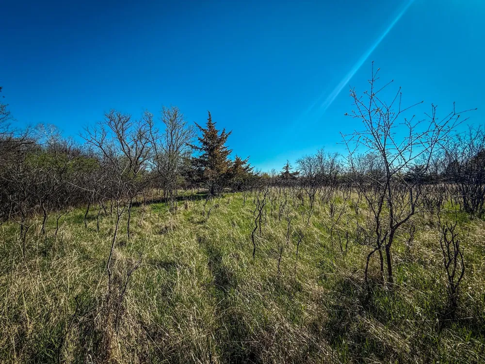 xxx County 14 Boulevard Cannon Falls, MN 55009