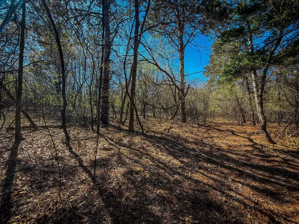 xxx County 14 Boulevard Cannon Falls, MN 55009