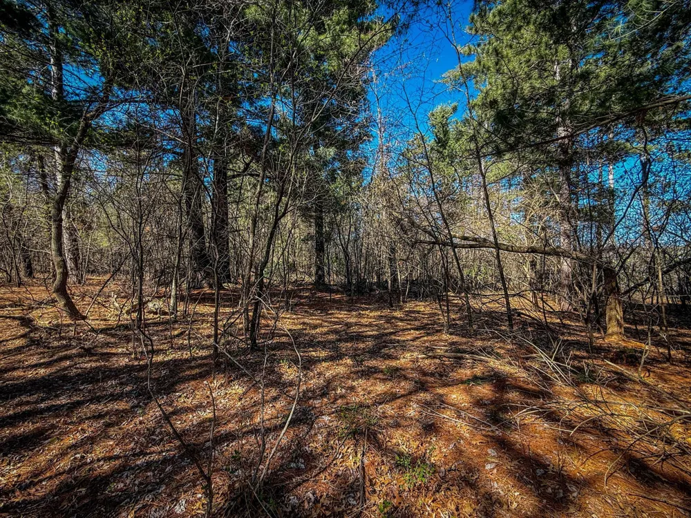 xxx County 14 Boulevard Cannon Falls, MN 55009